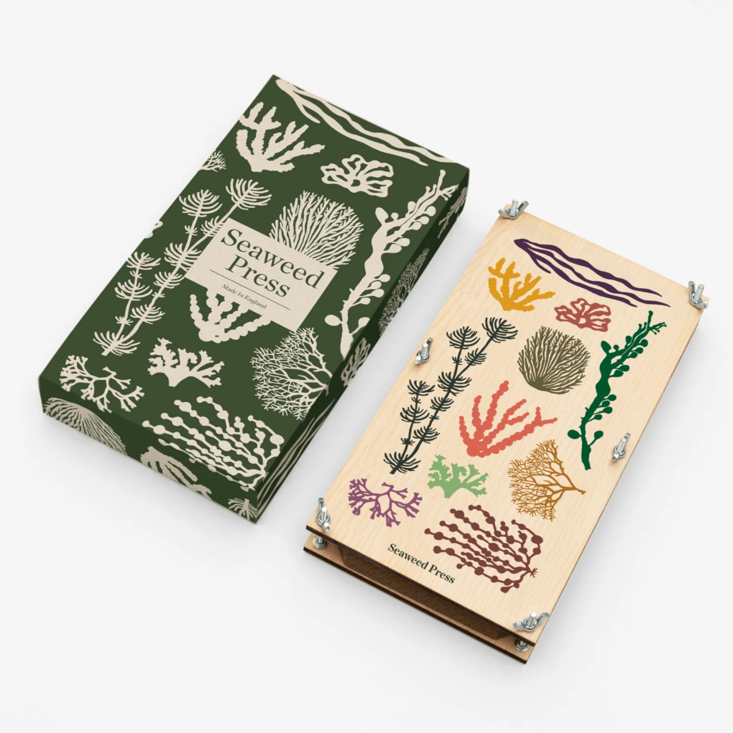 Seaweed Packaging Boxes: Revolutionizing Sustainable Packaging Solutions