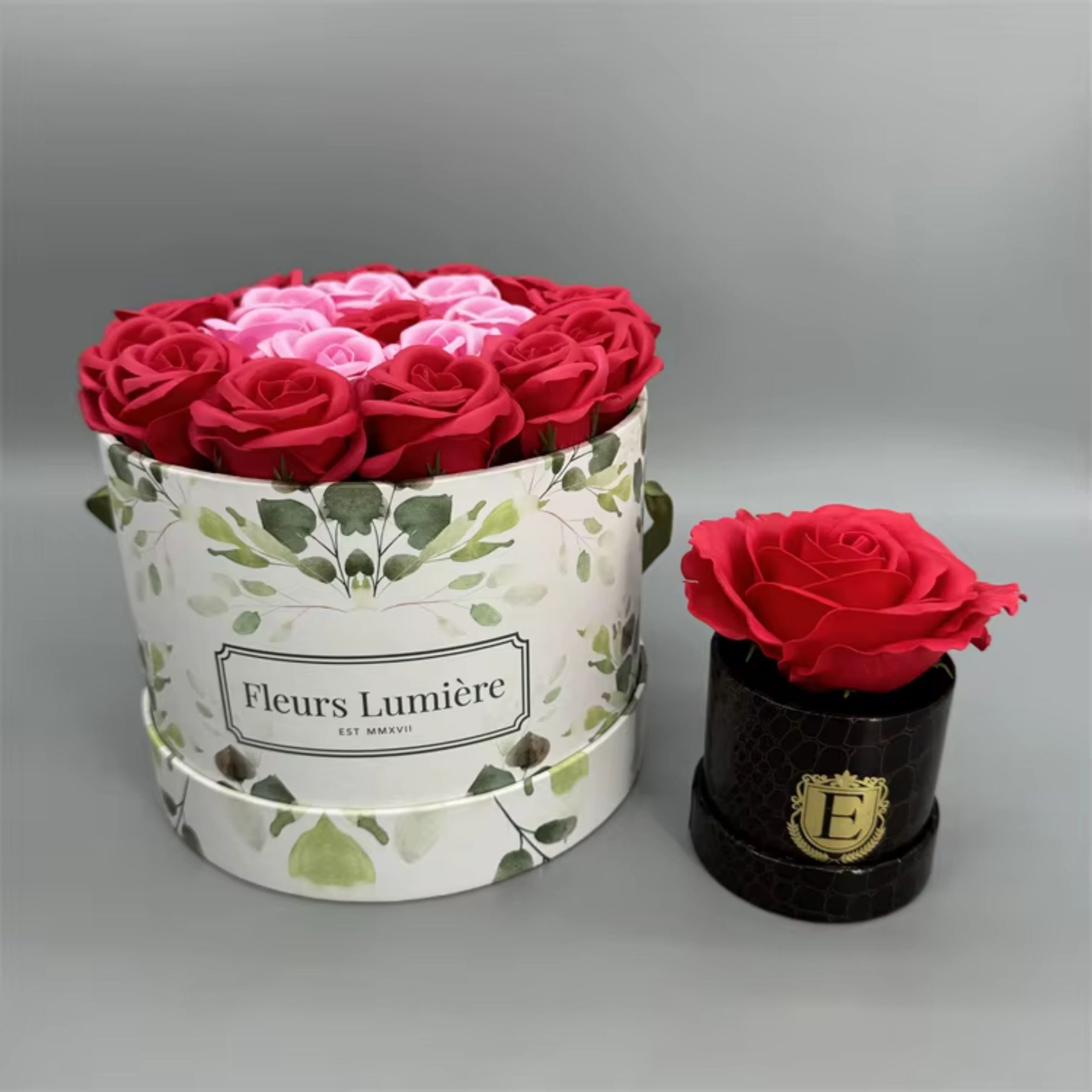 Expert Guide to Plant Packaging Boxes for Shipping and Moving