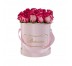 Plant Packaging Boxes